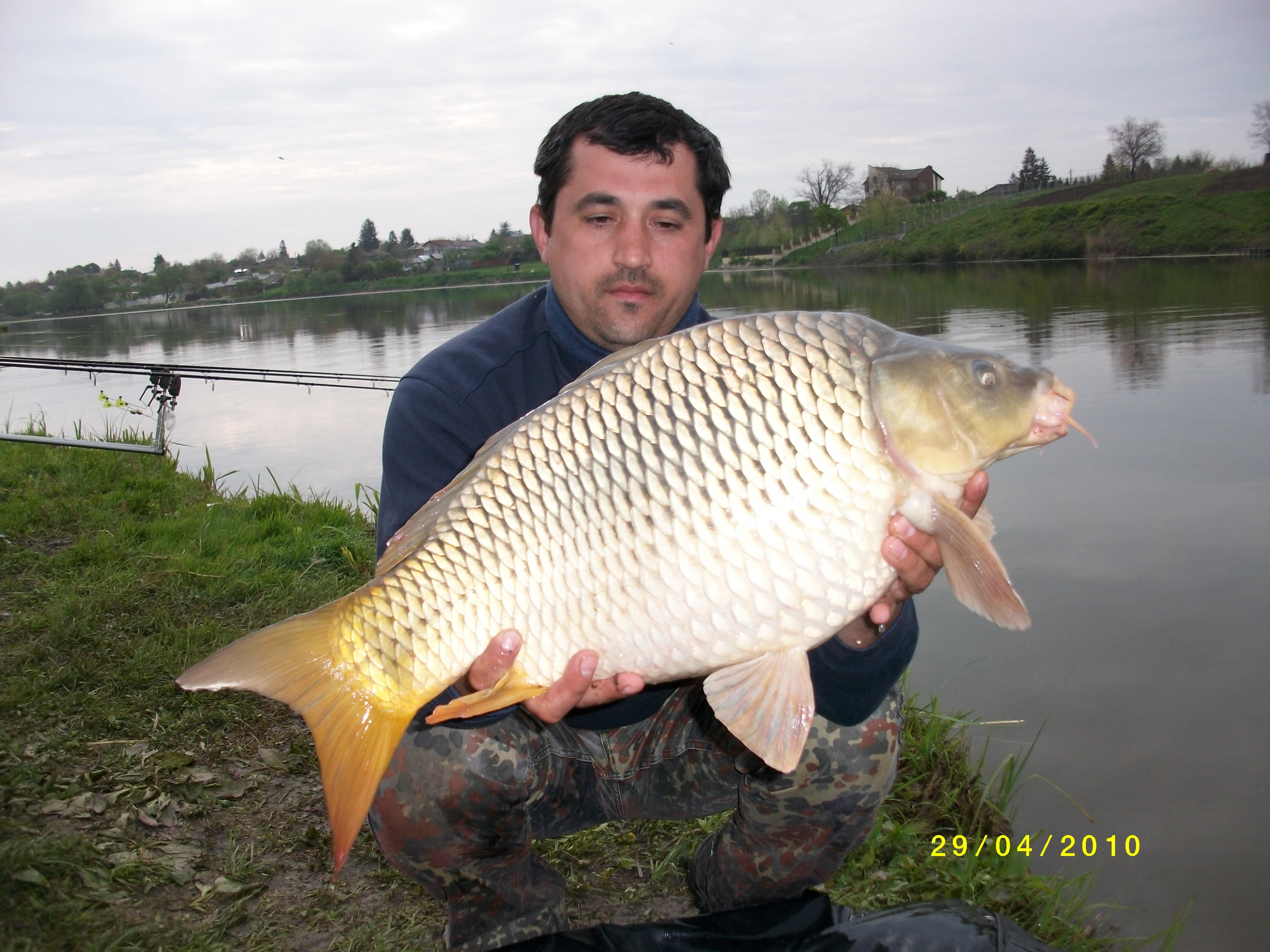 Moara Vlasiei 2 27 - 29 apr.2010 - MD000985.JPG